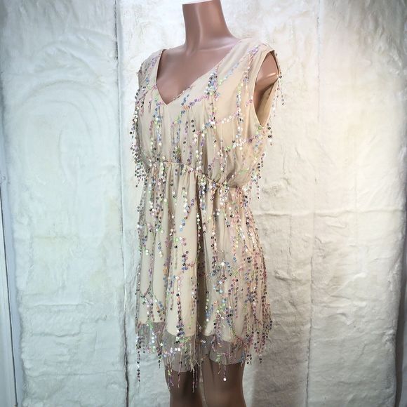 Southern Fried Chics Mini Dress Womens XL  Beige Shimmy For Me Mesh Sequins - Picture 12 of 16